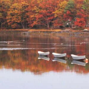 3 Boats