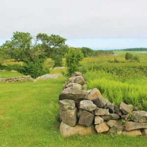 Stone Wall