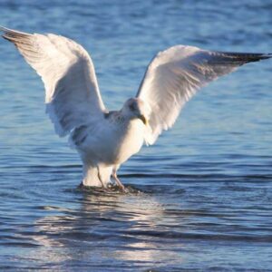 Take-off