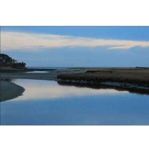 Maine Wetland