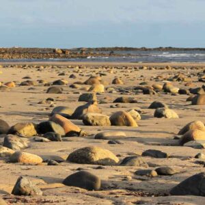 Beach Rocks