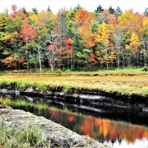 Rachel Carson Refuge