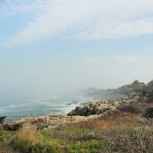 Rocky Shore